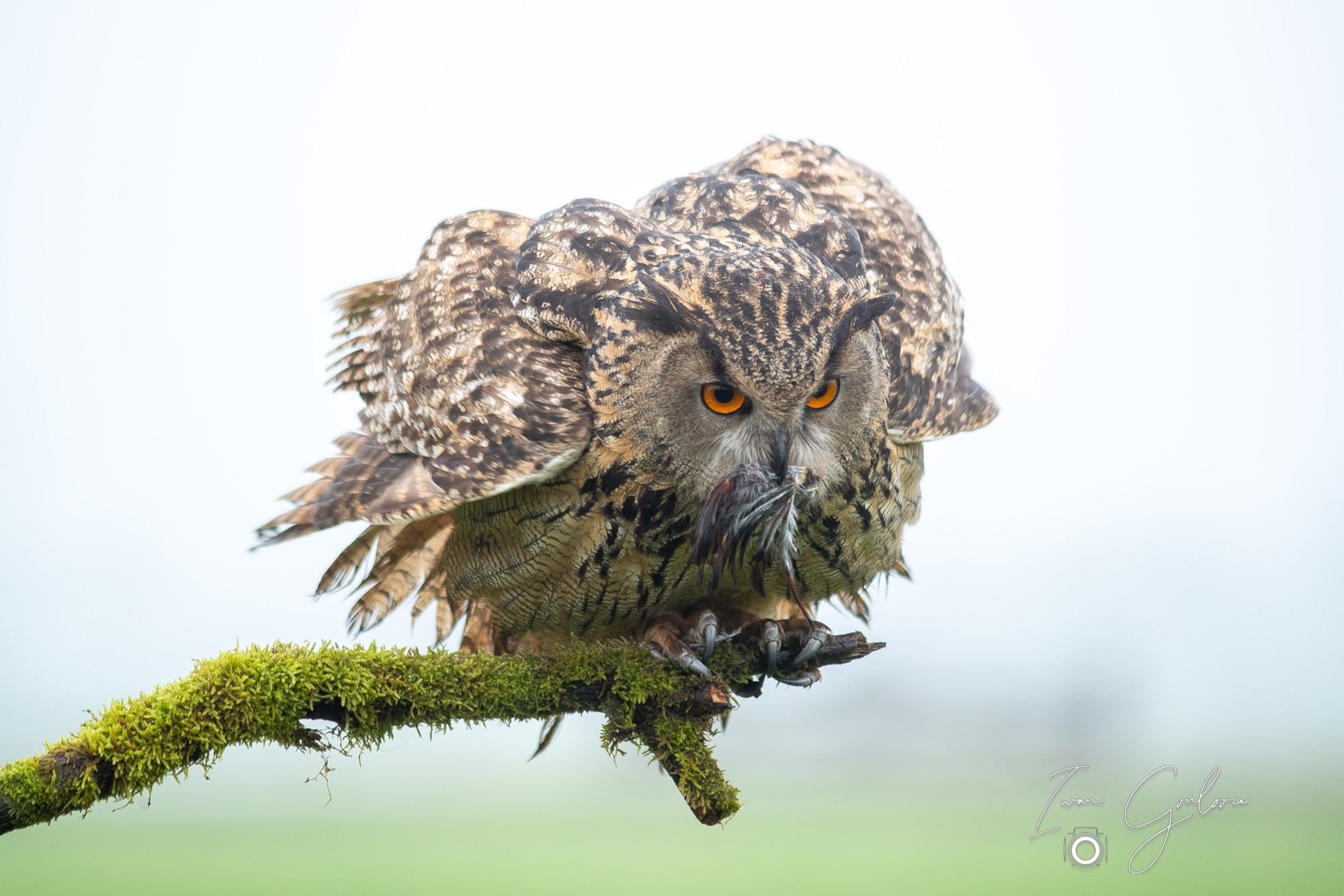 1DX46690 12 december 2021 1412 26